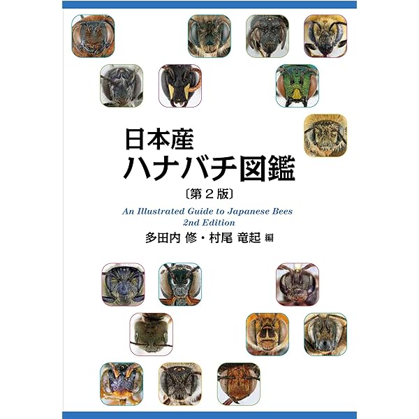 ゲンゴロウ類の生態学（環境Eco選書18） | 大庭伸也 |本 | 通販 | Amazon